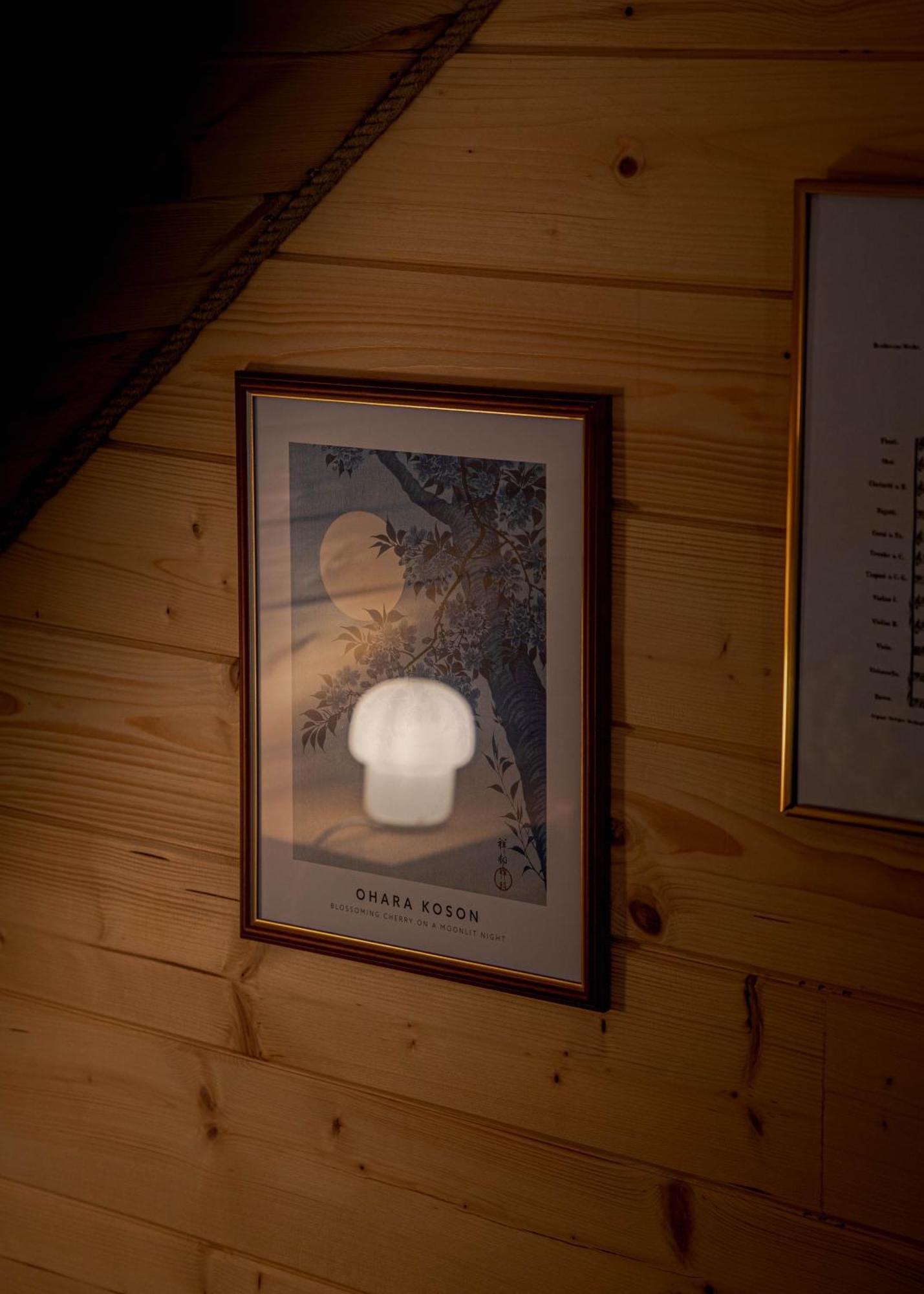 Jarzebinowa - Dom Do Wynajecia Na Podlasiu Luka Eksteriør billede